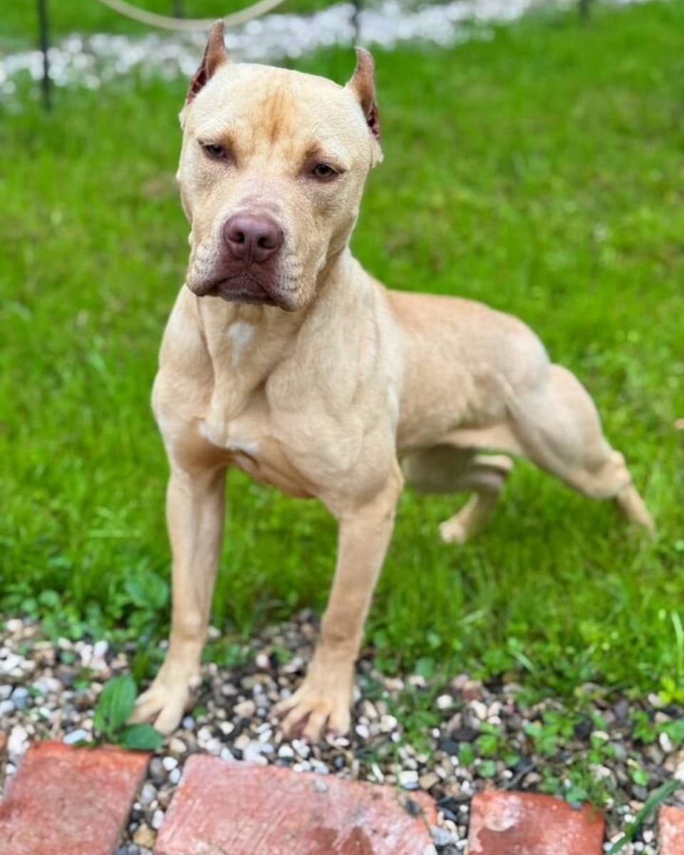 Дейла медиа 2