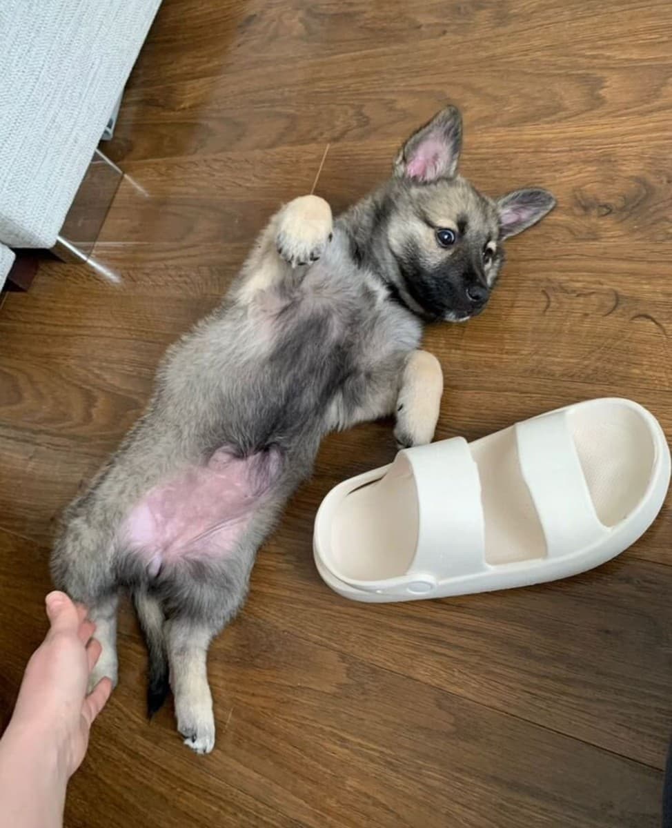 Нэнси медиа 2