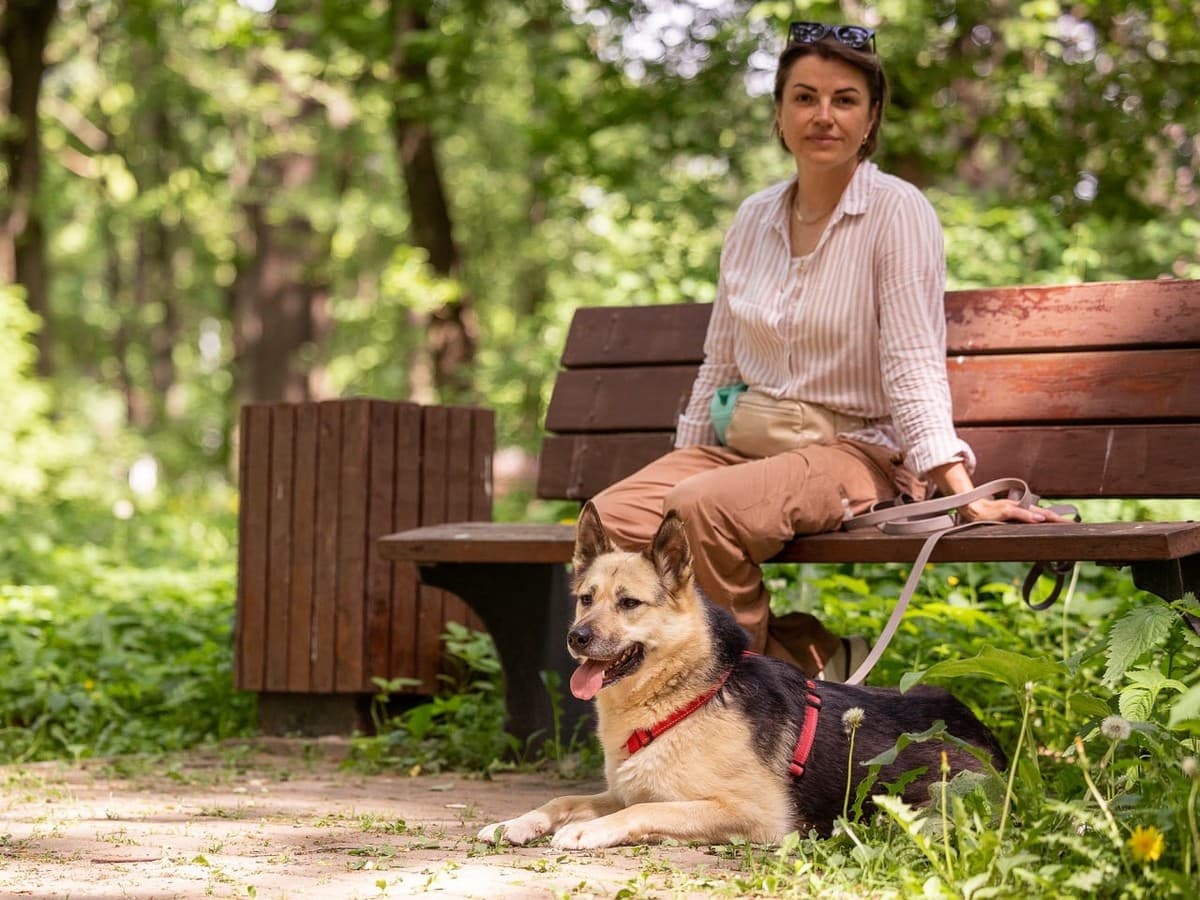 Пеппи медиа 8