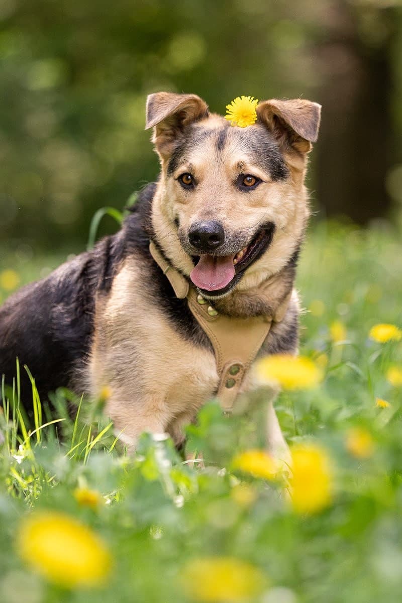 Барри медиа 7