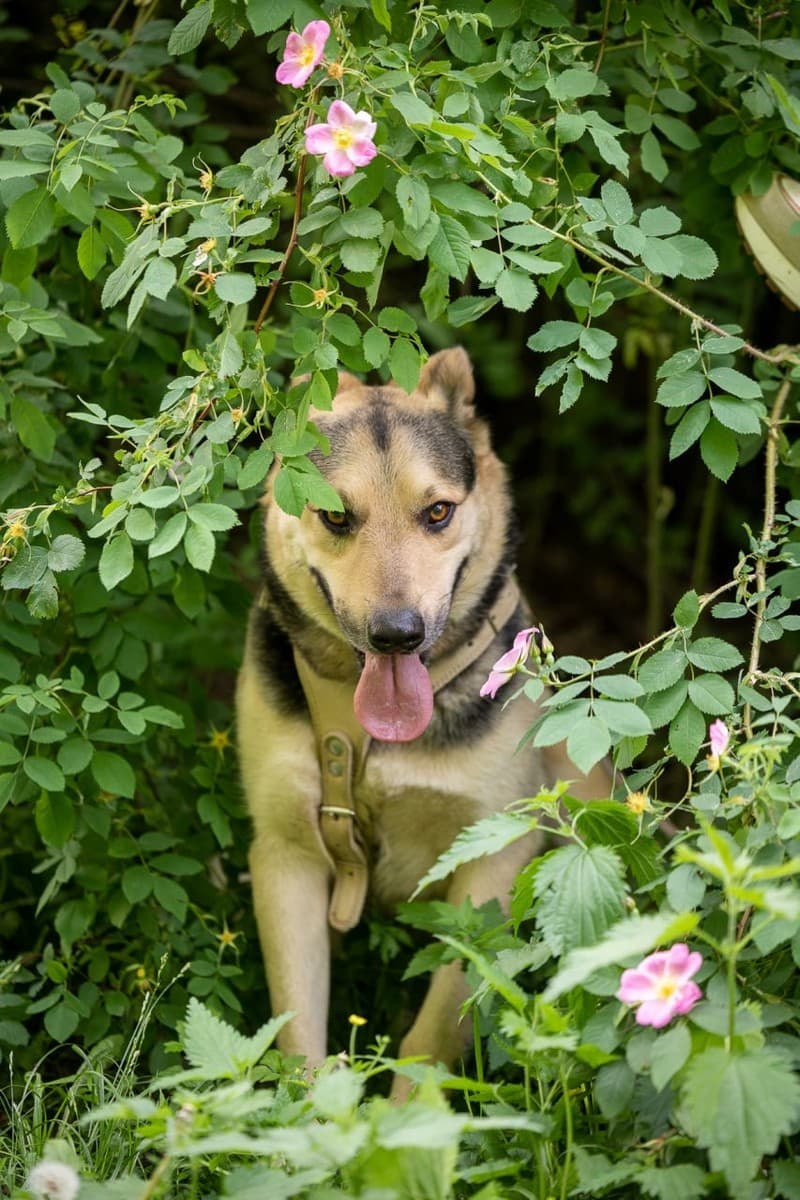 Барри медиа 5