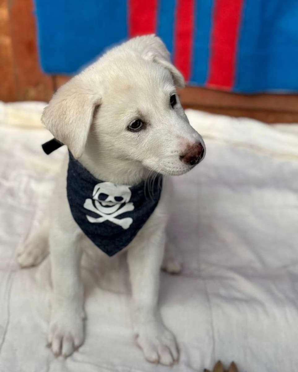 Бокс медиа 3