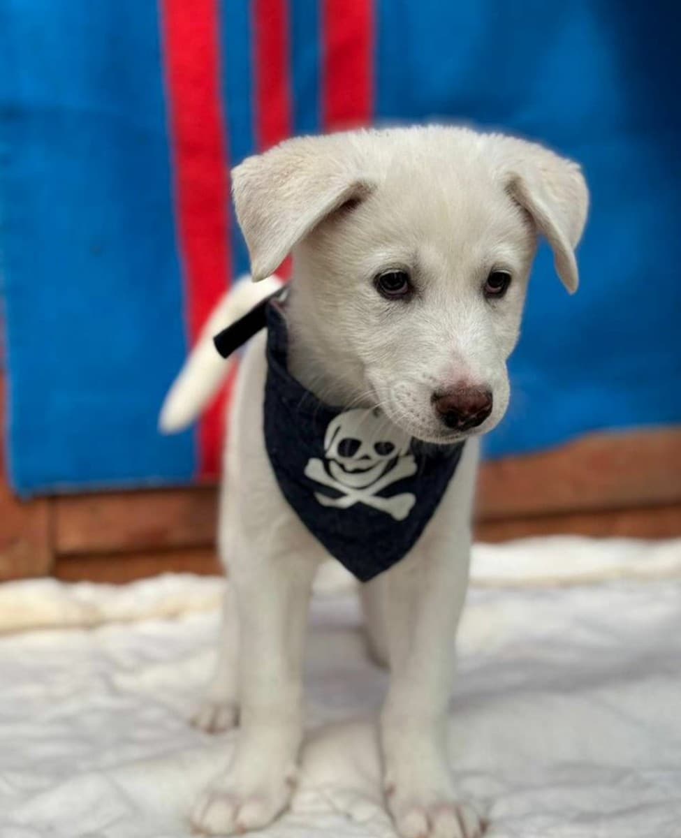 Бокс медиа 2