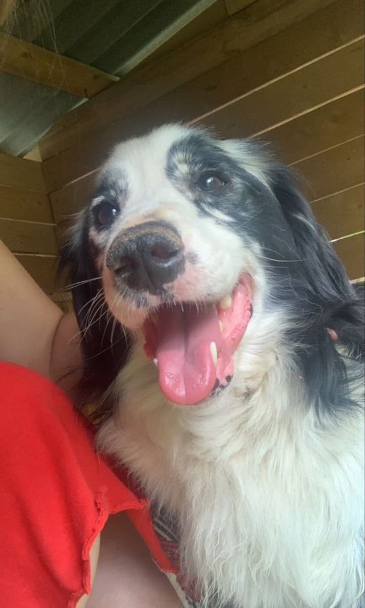 Барин медиа 2