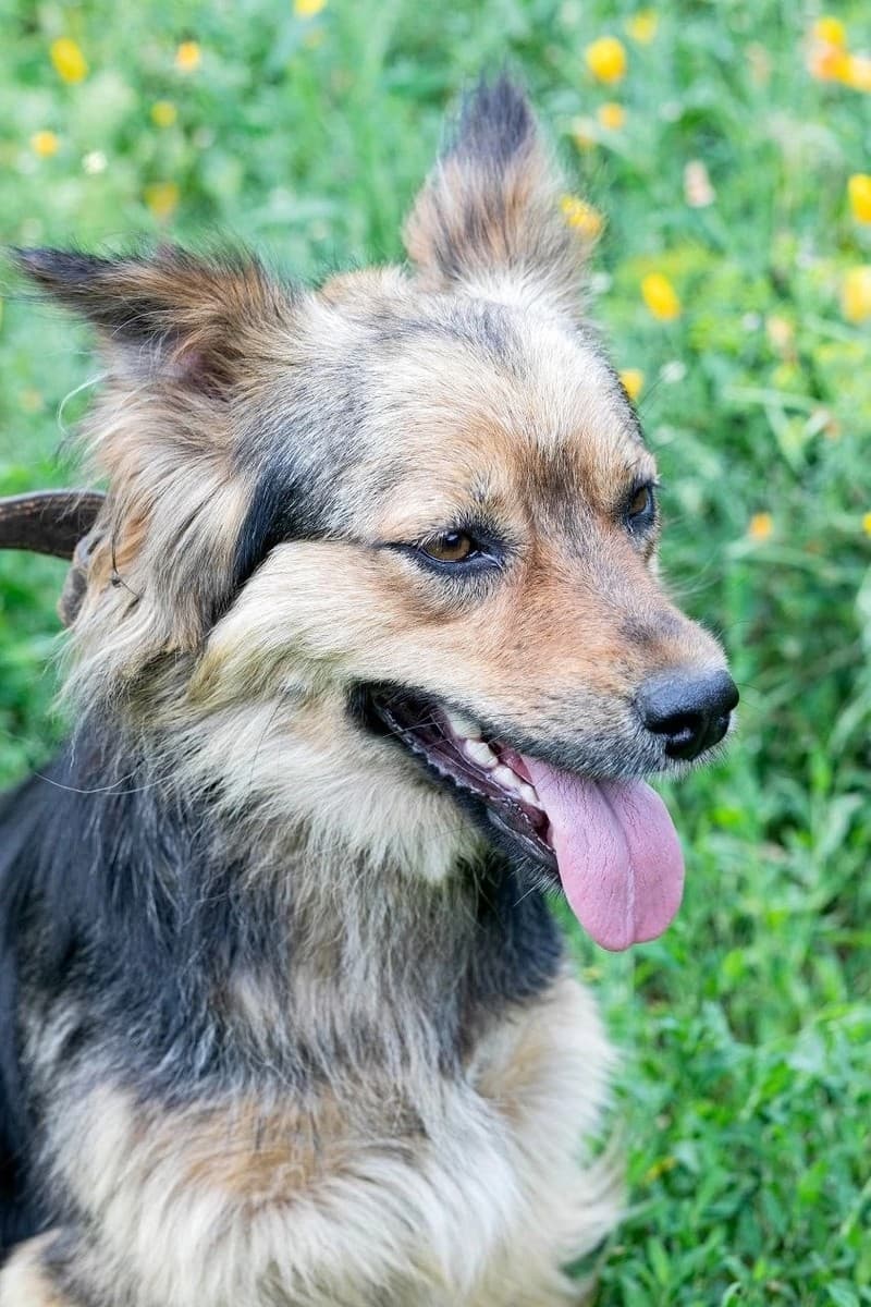 Джулия медиа 2