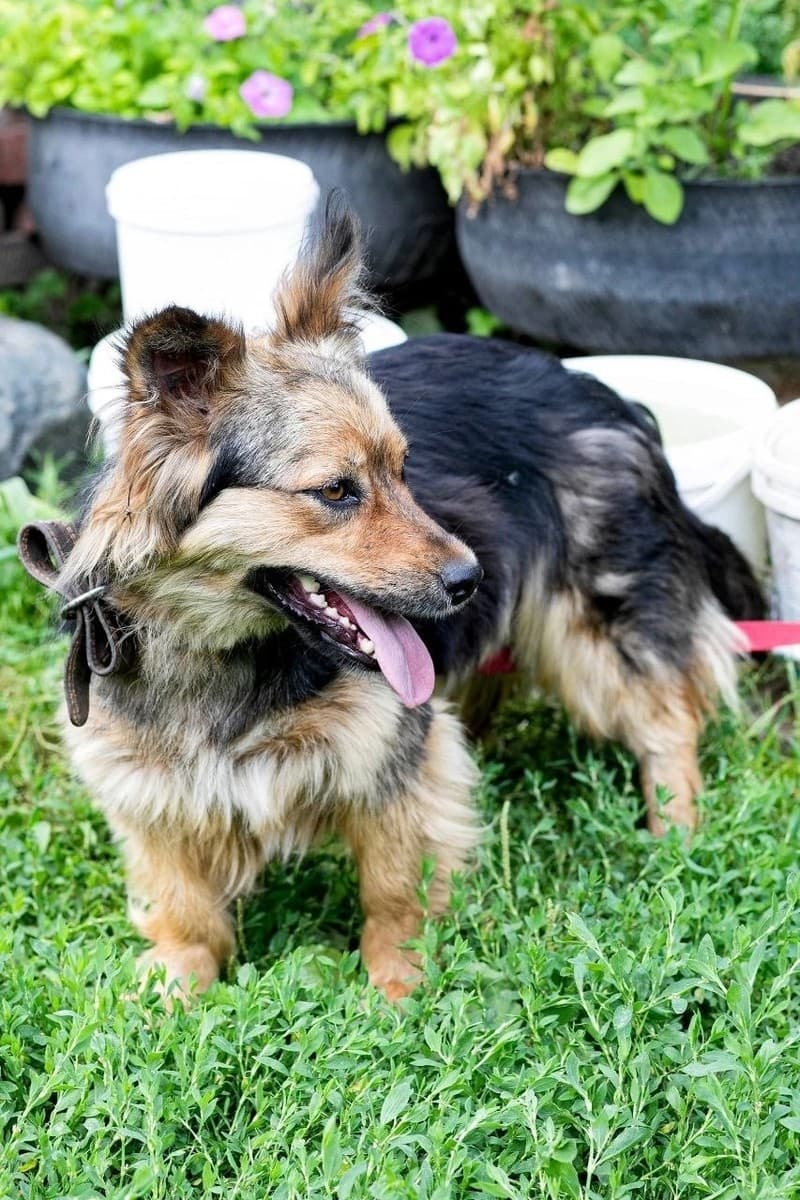 Джулия медиа 3