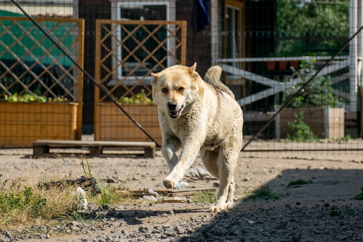 Машка медиа 2