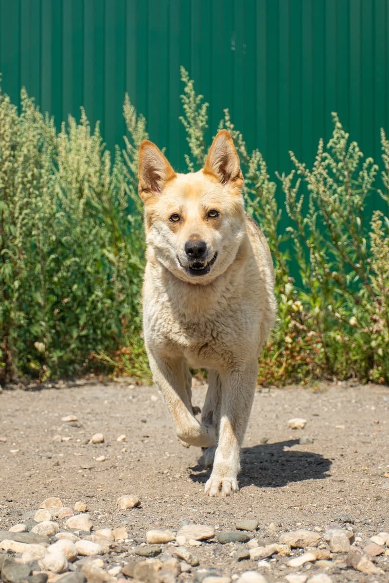 Машка медиа 3