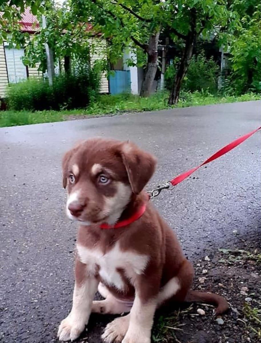 Сонечка медиа 2