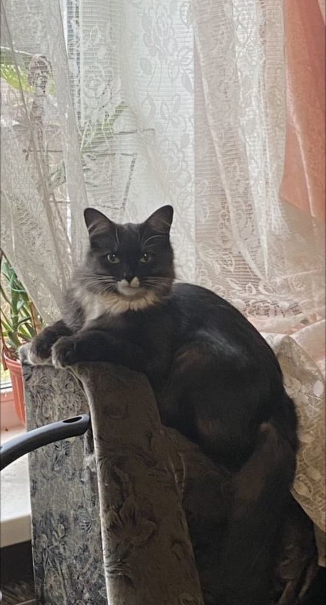 Маруся медиа 2