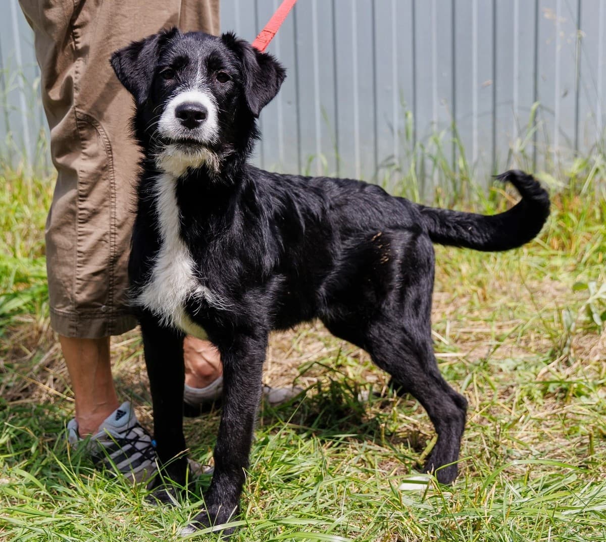 Викки медиа 3