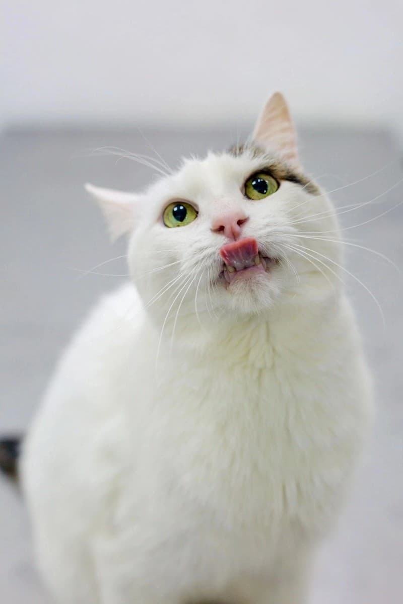 Серж медиа 3