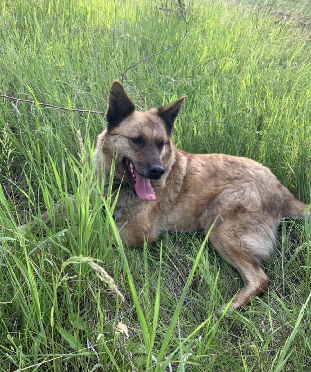 Берта медиа 2