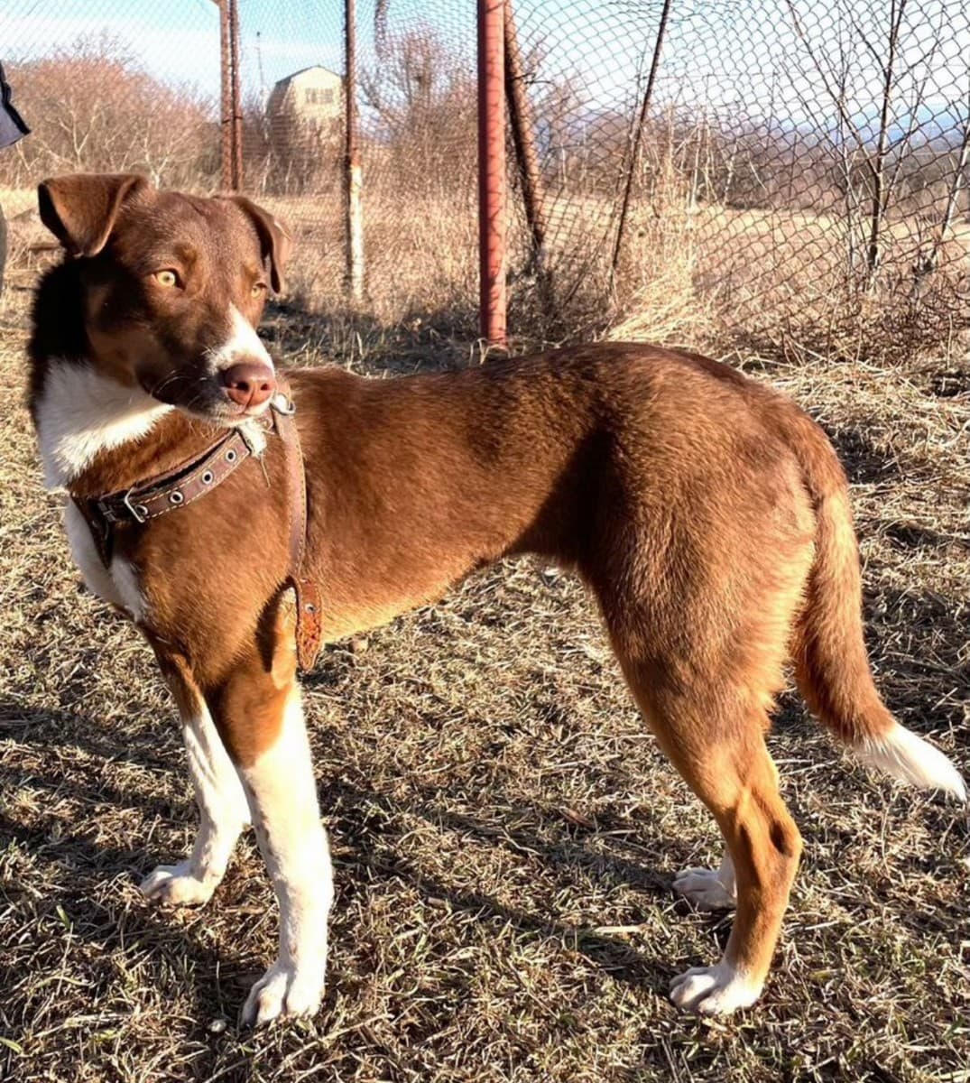 Лёля медиа 2