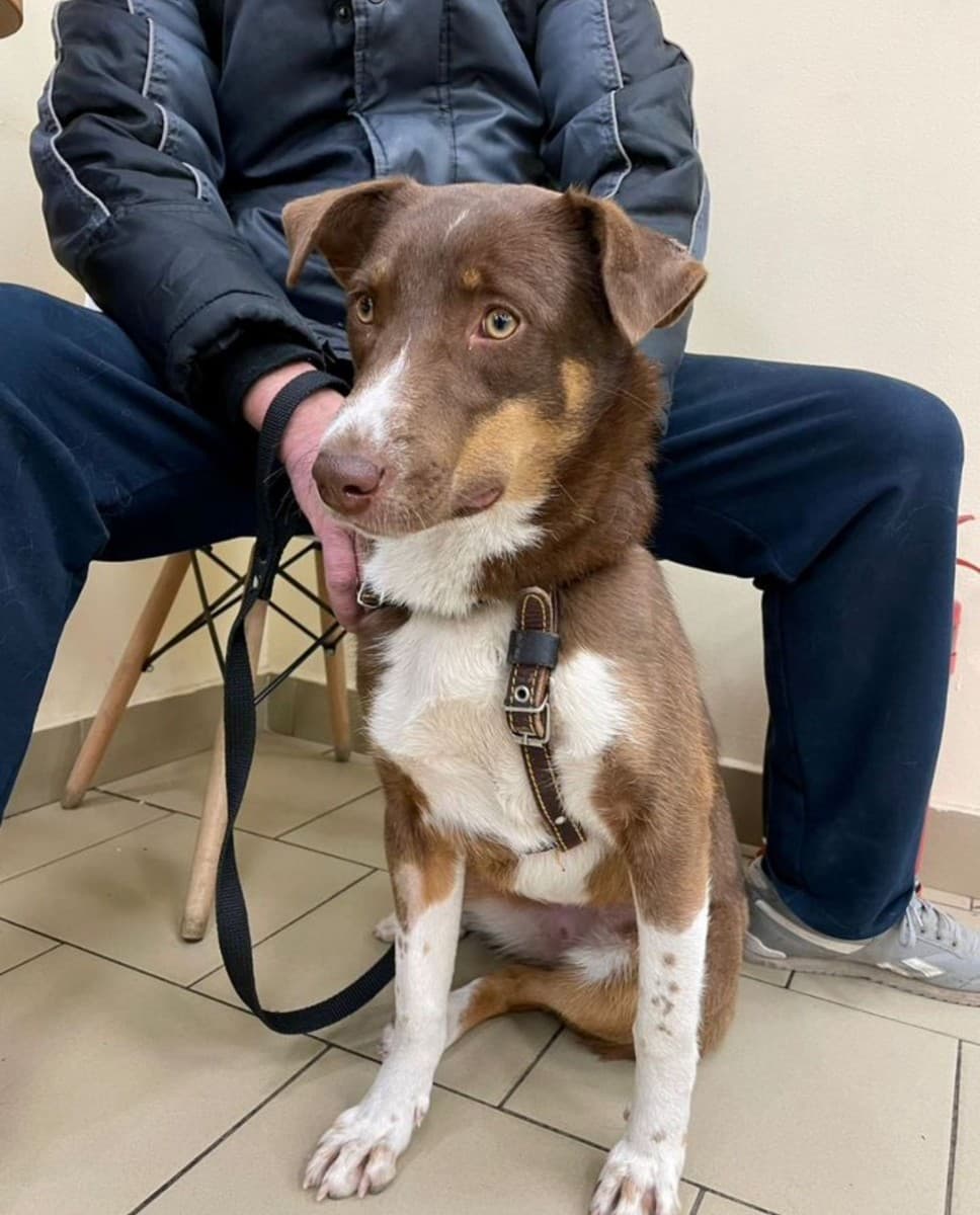 Лёля медиа 3