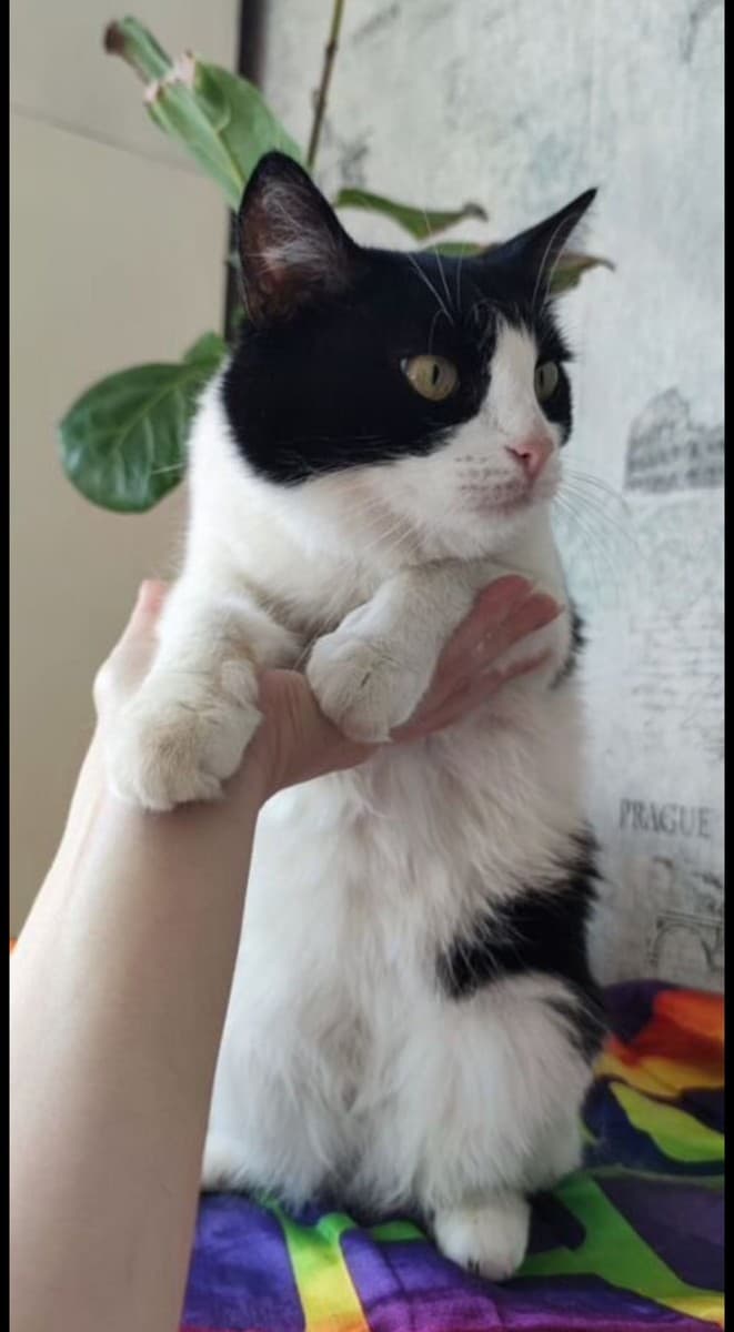 Марта медиа 2