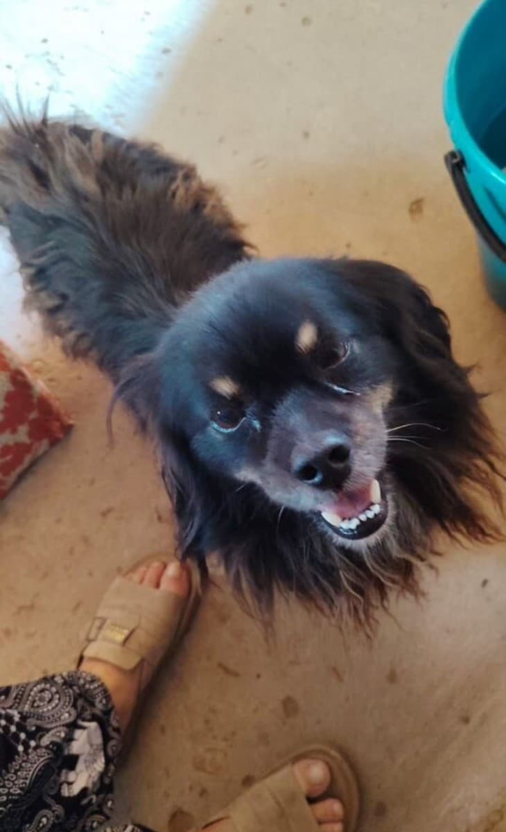 Бонд медиа 3