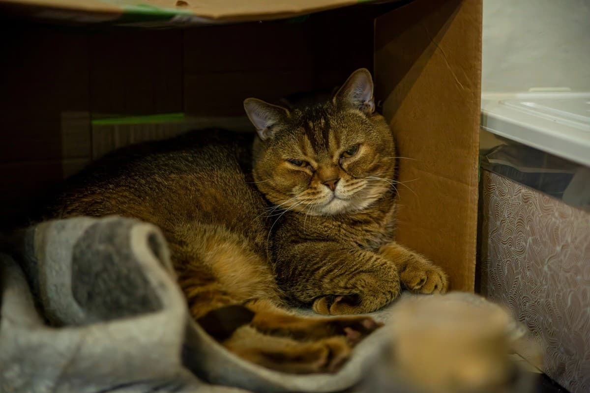 Изюм медиа 2