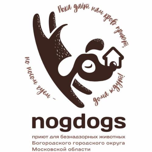 Ногинский муниципальный приют.