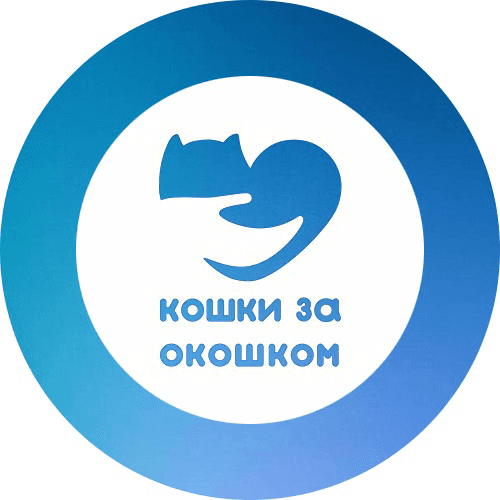 Кошки за окошком| Приют для кошек