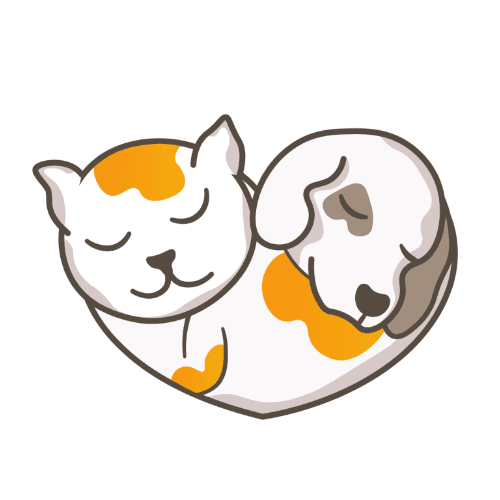 Благотворительный фонд "Ключ Добра"