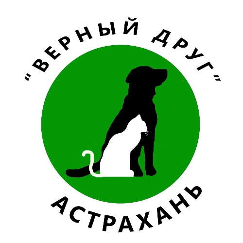 Частный приют «Верный друг»