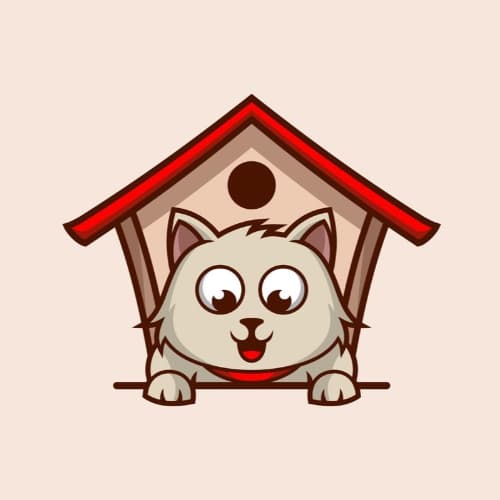 Дом Кота