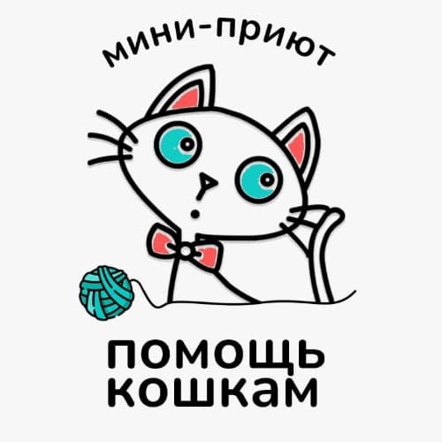 Мини-приют "Котэлло"